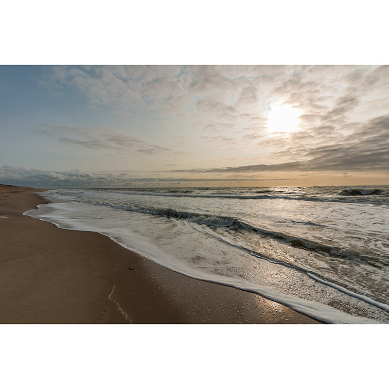 Sea Mural Wallpaper Moisture Resistant Tropics Living Room Bathroom Home Decor