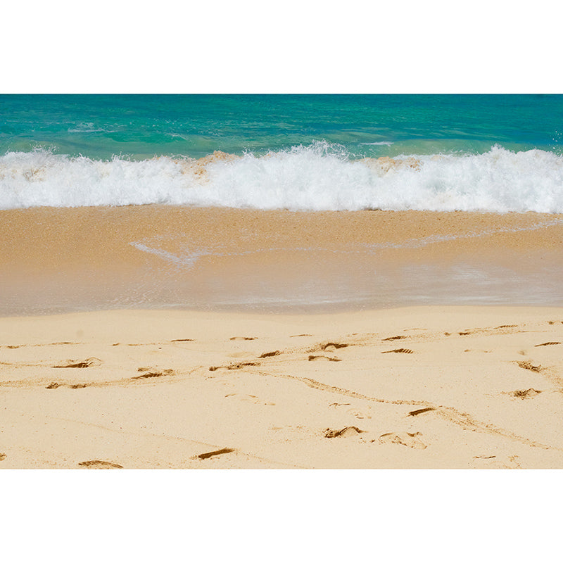 Beach Wall Murals for Guest Room Bathroom Moisture Resistant, Custom Size Available