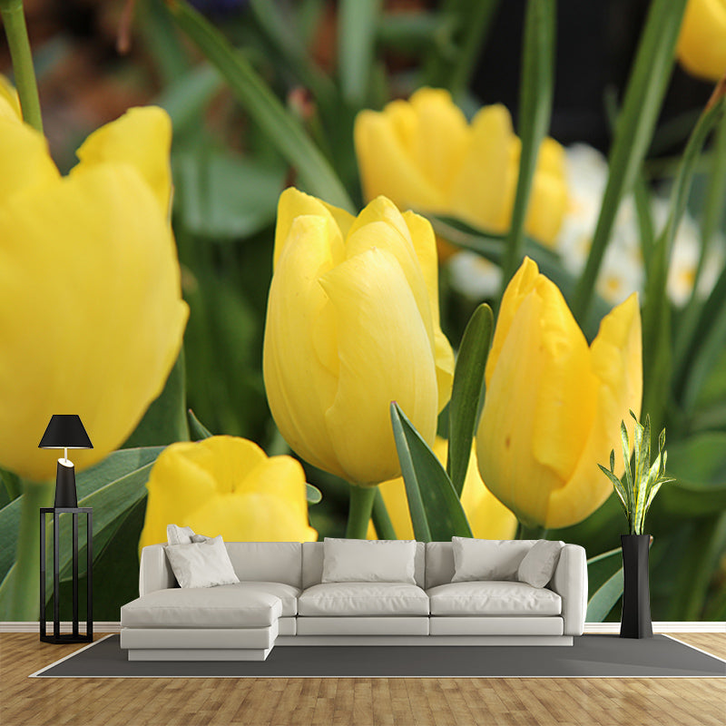 Tulip Wall Mural Decal for Living Room Flower Wall Decor, Customized Size Available