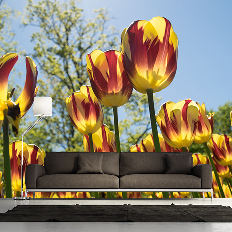 Tulip Wall Mural Decal for Living Room Flower Wall Decor, Customized Size Available