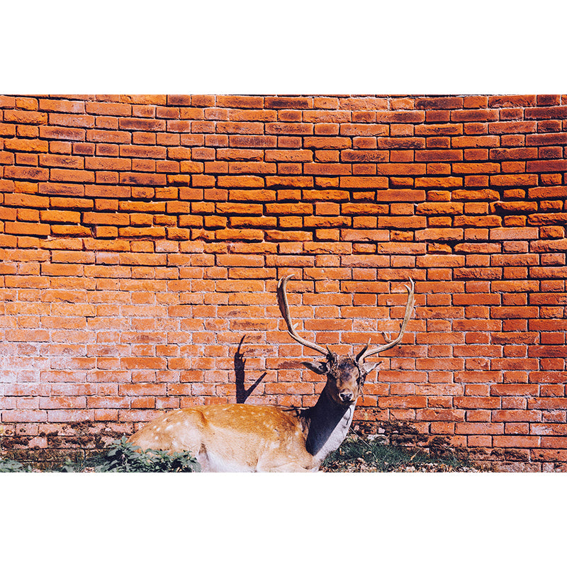 Customized Mildew Resistant Mural Wall Industrial Brick Wall Pattern Wall Covering