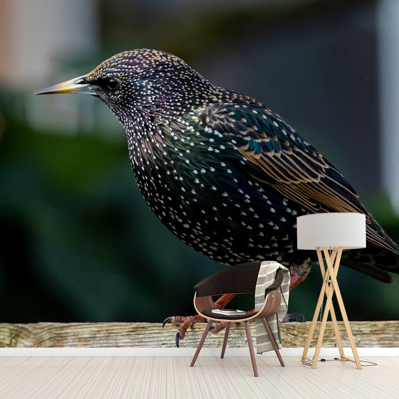 Myna Animal Wallpaper Mural Contemporary Style Wall Art for Living Room