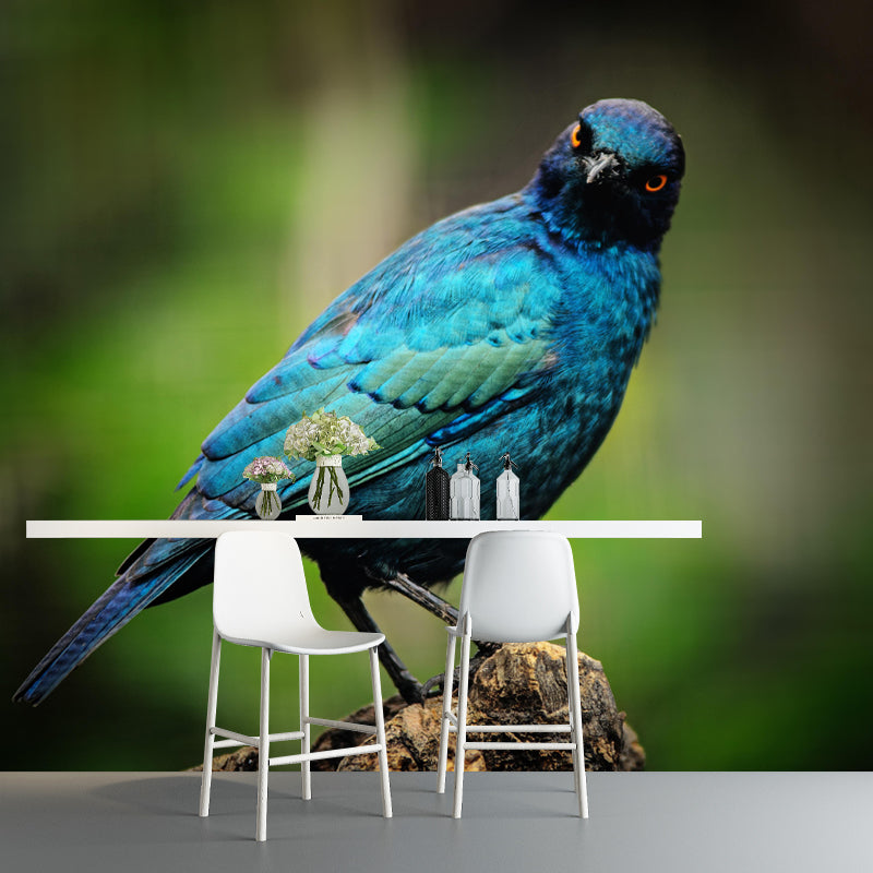 Myna Animal Wallpaper Mural Contemporary Style Wall Art for Living Room