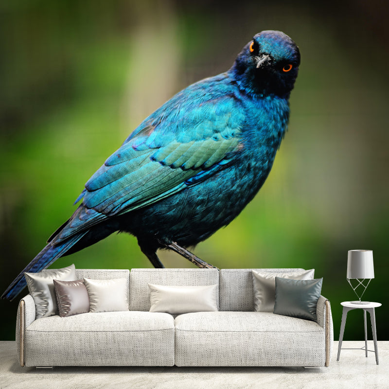 Myna Animal Wallpaper Mural Contemporary Style Wall Art for Living Room