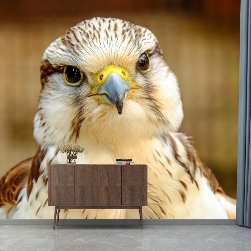 Photography Falcon Wall Mural Wallpaper Moisture Resistant Mural for Home