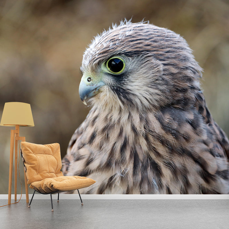 Photography Falcon Wall Mural Wallpaper Moisture Resistant Mural for Home