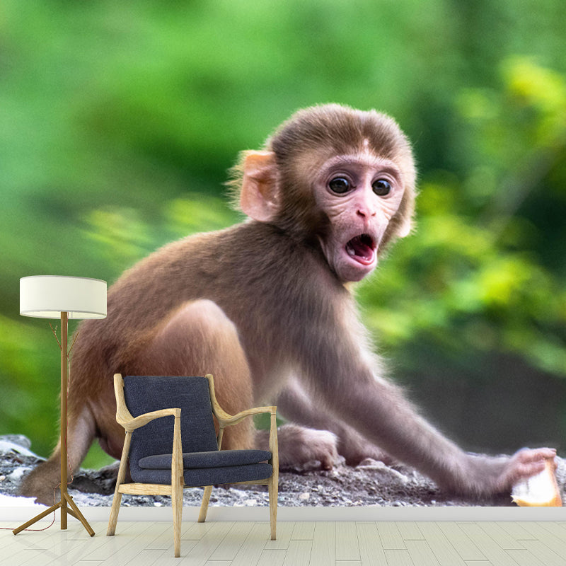 Monkey Animal Wallpaper Mural Contemporary Style Wall Art for Living Room