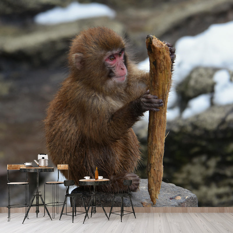 Monkey Animal Wallpaper Mural Contemporary Style Wall Art for Living Room