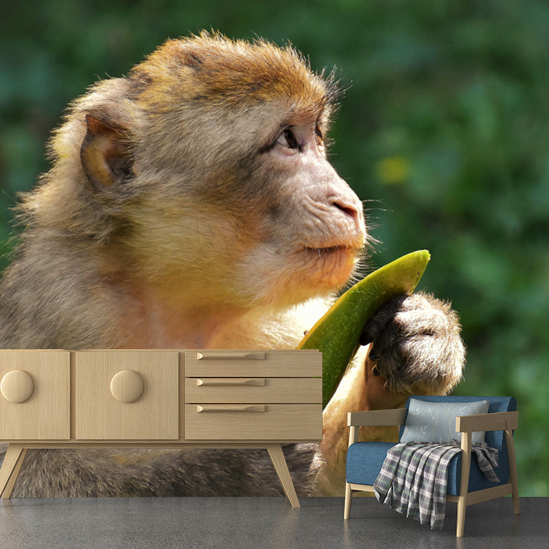 Monkey Animal Wallpaper Mural Contemporary Style Wall Art for Living Room