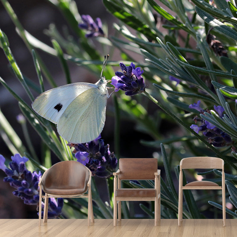 Butterfly Animal Wallpaper Mural Contemporary Style Wall Art for Living Room