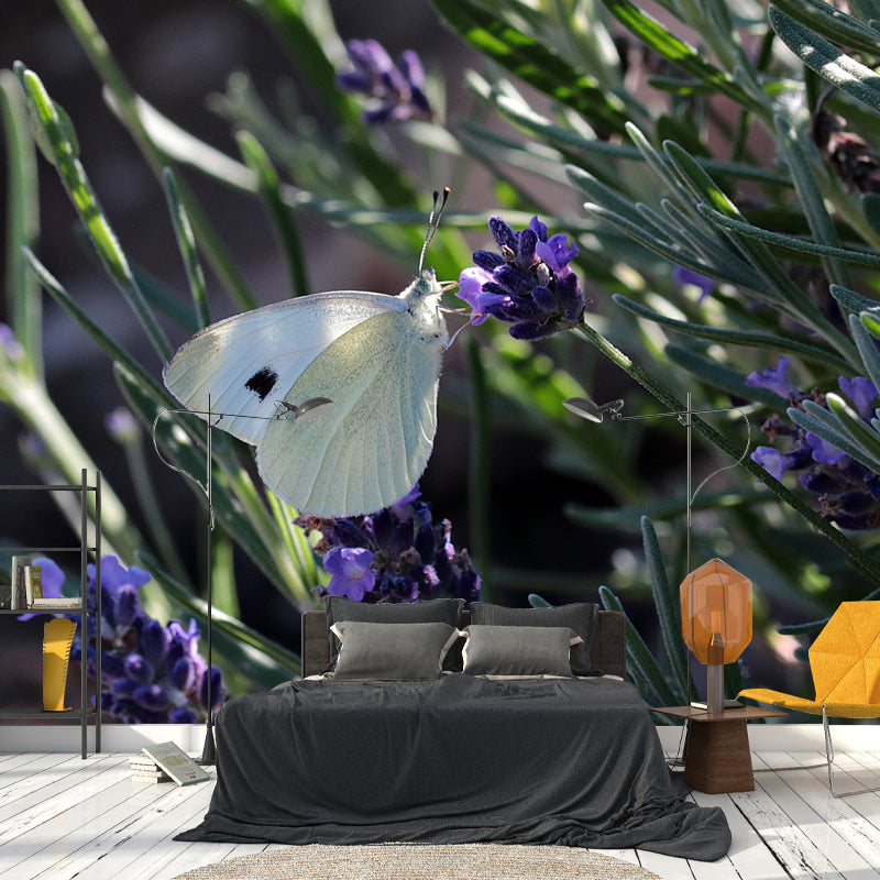 Butterfly Animal Wallpaper Mural Contemporary Style Wall Art for Living Room