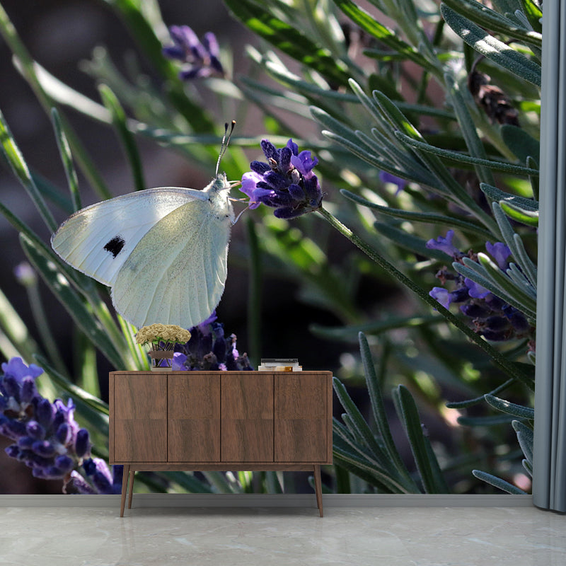 Butterfly Animal Wallpaper Mural Contemporary Style Wall Art for Living Room