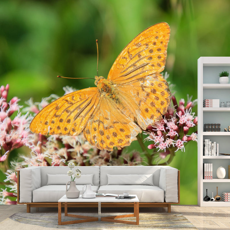 Butterfly Animal Wallpaper Mural Contemporary Style Wall Art for Living Room