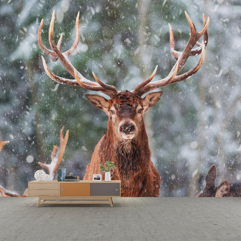 Elk Animal Wallpaper Mural Contemporary Style Wall Art for Living Room