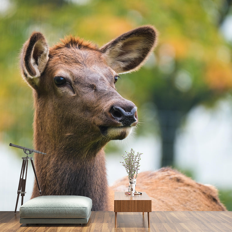 Elk Animal Wallpaper Mural Contemporary Style Wall Art for Living Room