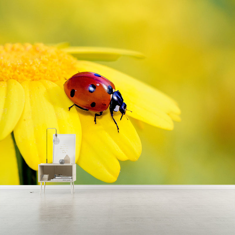 Ladybug Animal Wallpaper Mural Contemporary Style Wall Art for Living Room