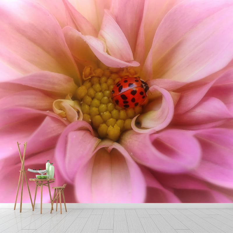 Ladybug Animal Wallpaper Mural Contemporary Style Wall Art for Living Room