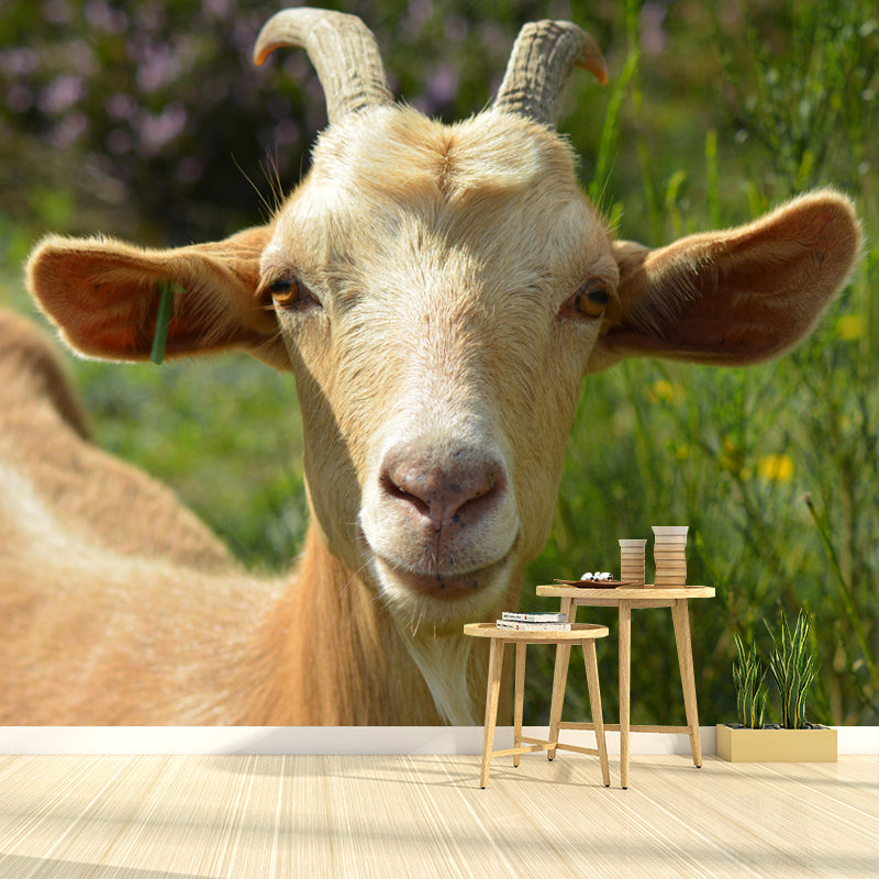 Goat Animal Wallpaper Mural Contemporary Style Wall Art for Living Room