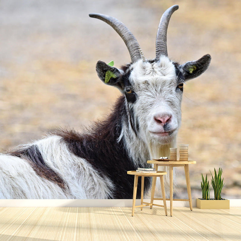 Goat Animal Wallpaper Mural Contemporary Style Wall Art for Living Room