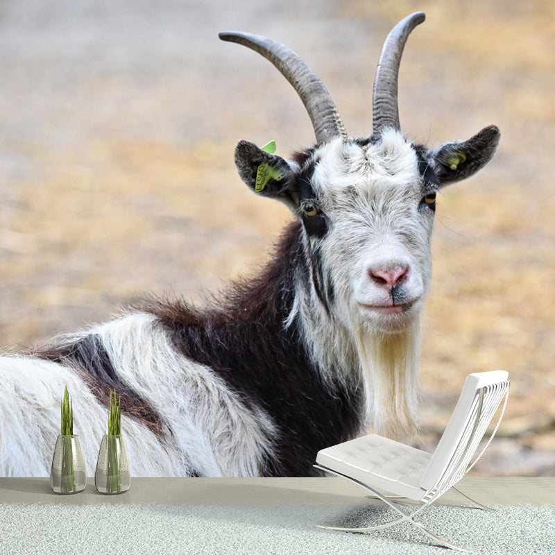 Goat Animal Wallpaper Mural Contemporary Style Wall Art for Living Room