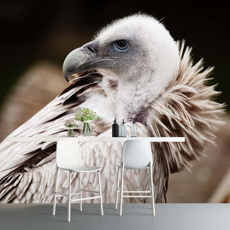 Horizontal Photography Vulture Wall Mural Wallpaper Moisture Resistant Mural
