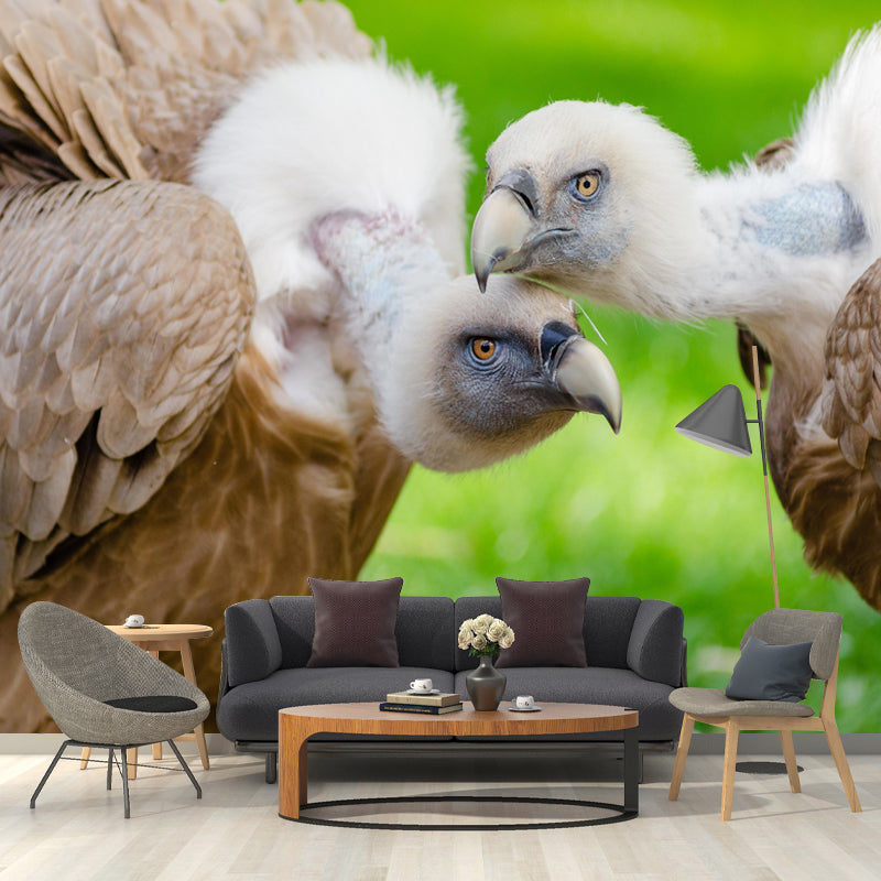 Horizontal Photography Vulture Wall Mural Wallpaper Moisture Resistant Mural