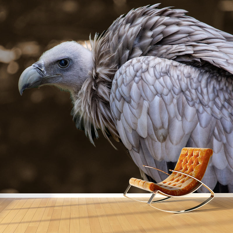 Horizontal Photography Vulture Wall Mural Wallpaper Moisture Resistant Mural