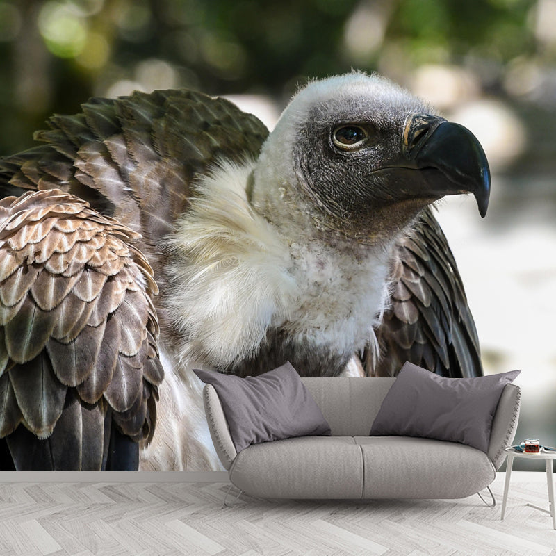 Horizontal Photography Vulture Wall Mural Wallpaper Moisture Resistant Mural