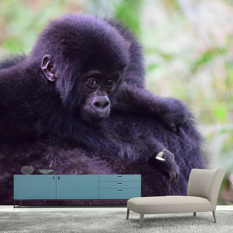 Chimpanzees Animal Wallpaper Mural Contemporary Style Wall Art for Living Room