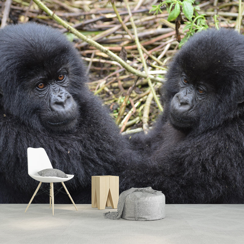 Chimpanzees Animal Wallpaper Mural Contemporary Style Wall Art for Living Room