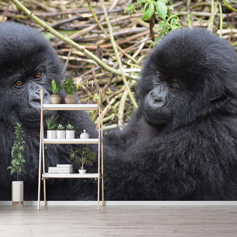 Chimpanzees Animal Wallpaper Mural Contemporary Style Wall Art for Living Room