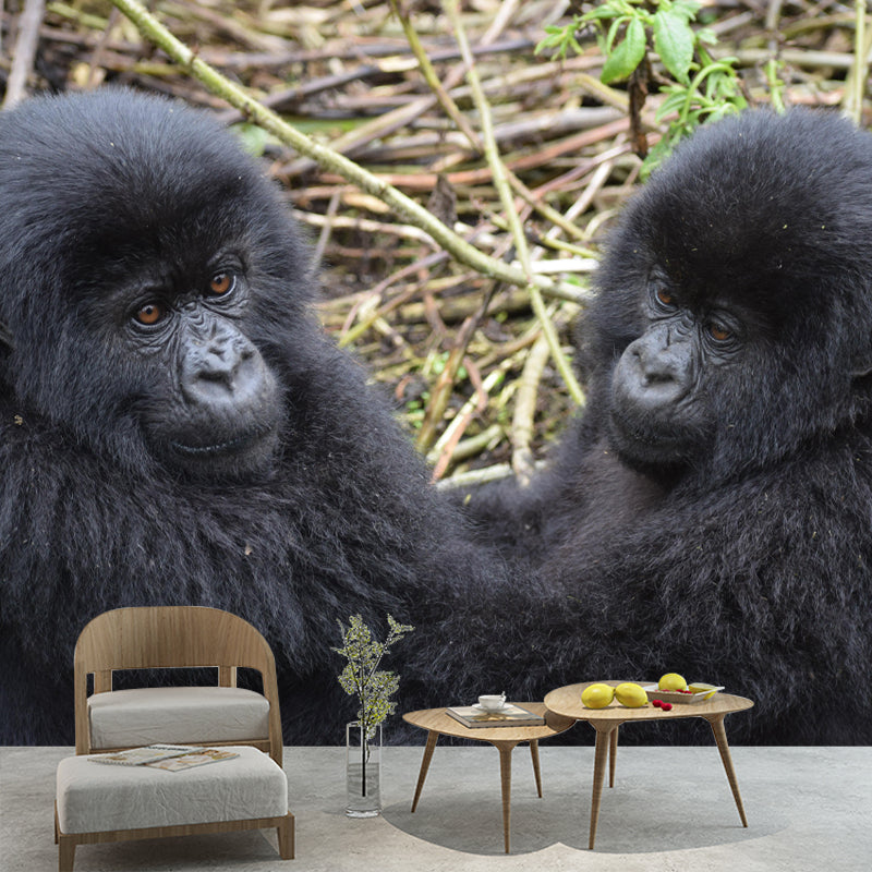 Chimpanzees Animal Wallpaper Mural Contemporary Style Wall Art for Living Room