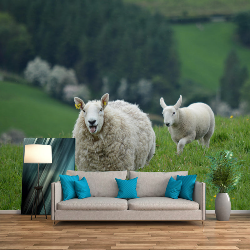 Sheep Animal Wallpaper Mural Contemporary Style Wall Art for Living Room