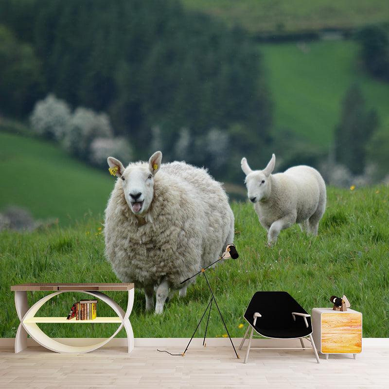 Sheep Animal Wallpaper Mural Contemporary Style Wall Art for Living Room