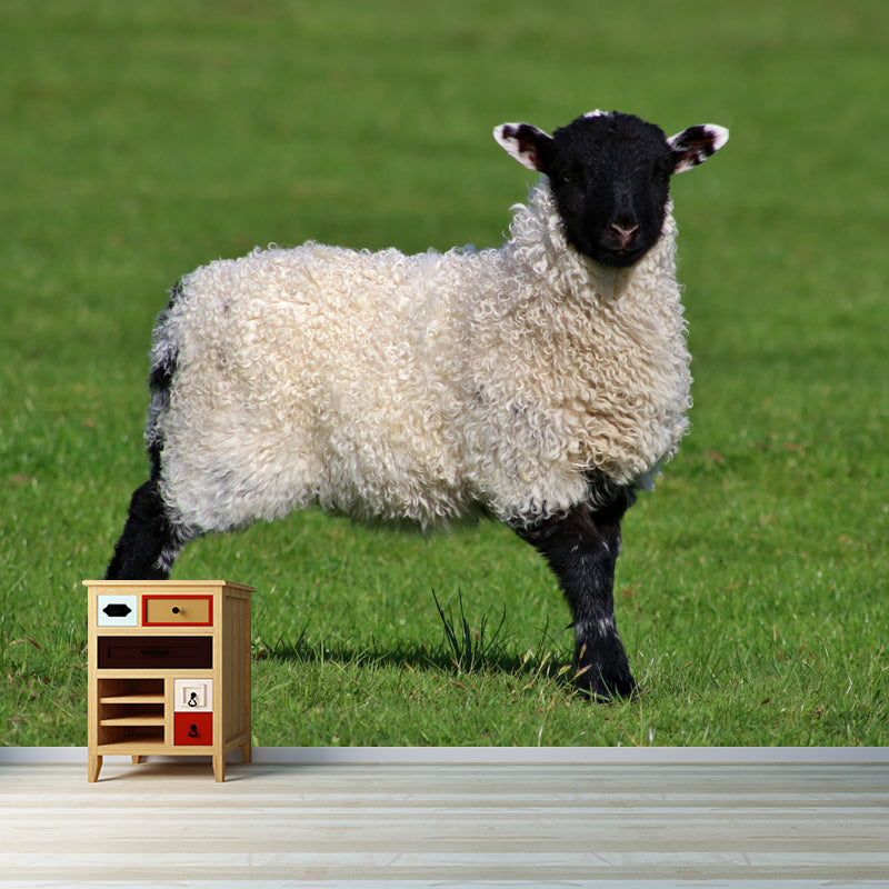 Sheep Animal Wallpaper Mural Contemporary Style Wall Art for Living Room