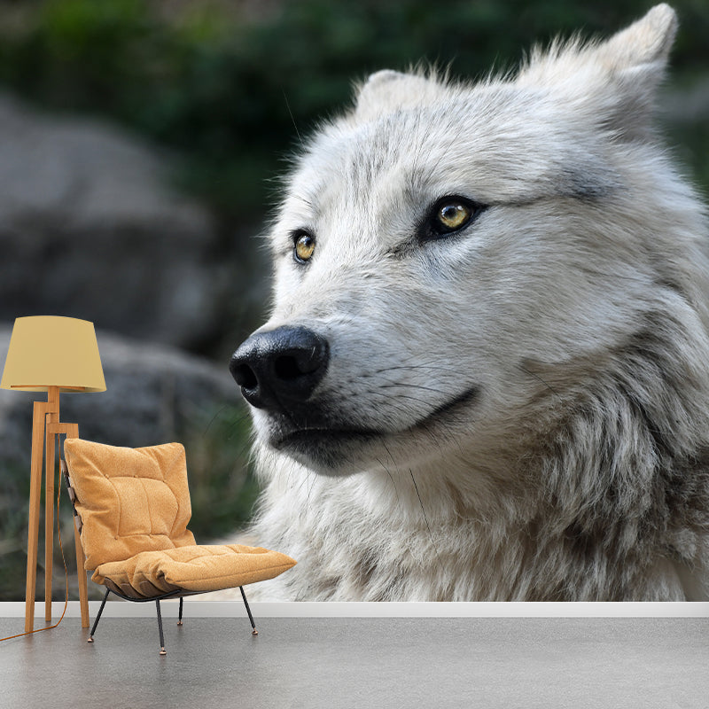 Wolf Animal Wall Art for Living Room Bedroom Home Decorations, Stain Resistant