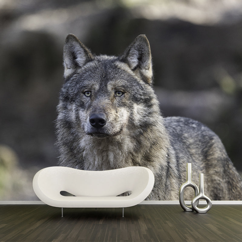 Wolf Animal Wall Art for Living Room Bedroom Home Decorations, Stain Resistant