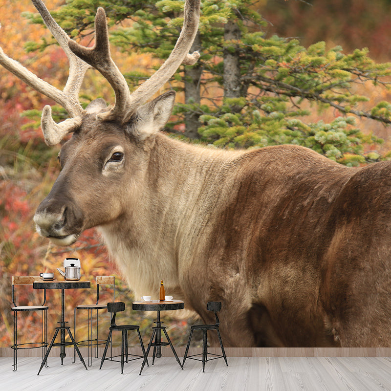 Deer Animal Mural Wallpaper Decorations for Sitting Room, Stain Resistant