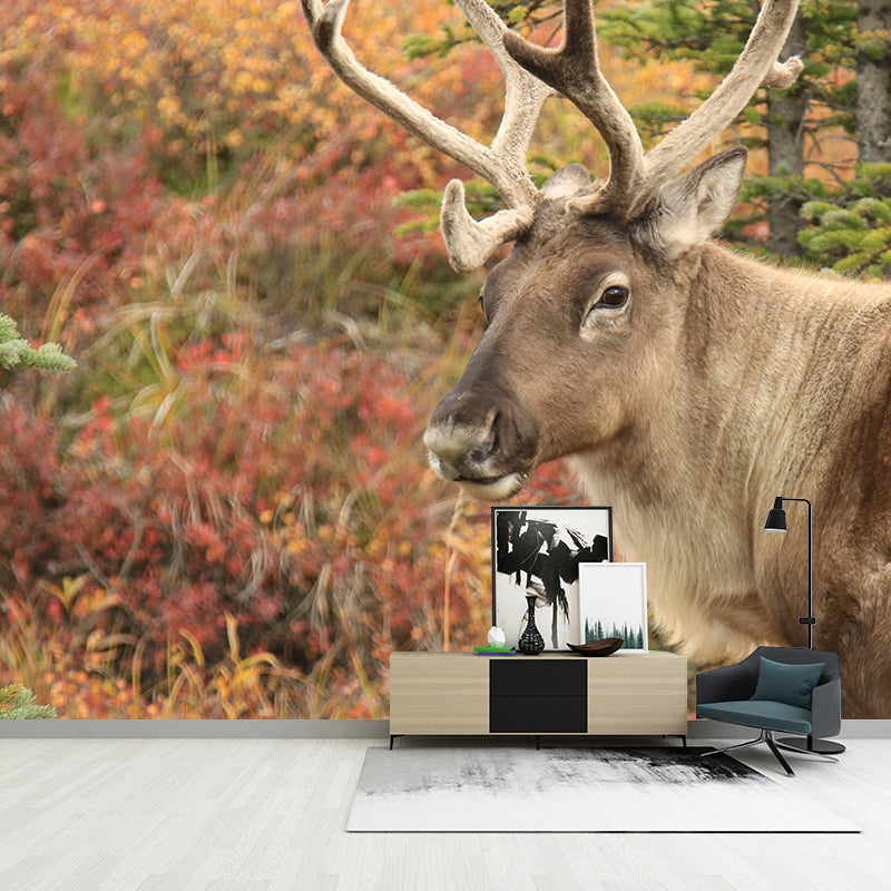 Deer Animal Mural Wallpaper Decorations for Sitting Room, Stain Resistant