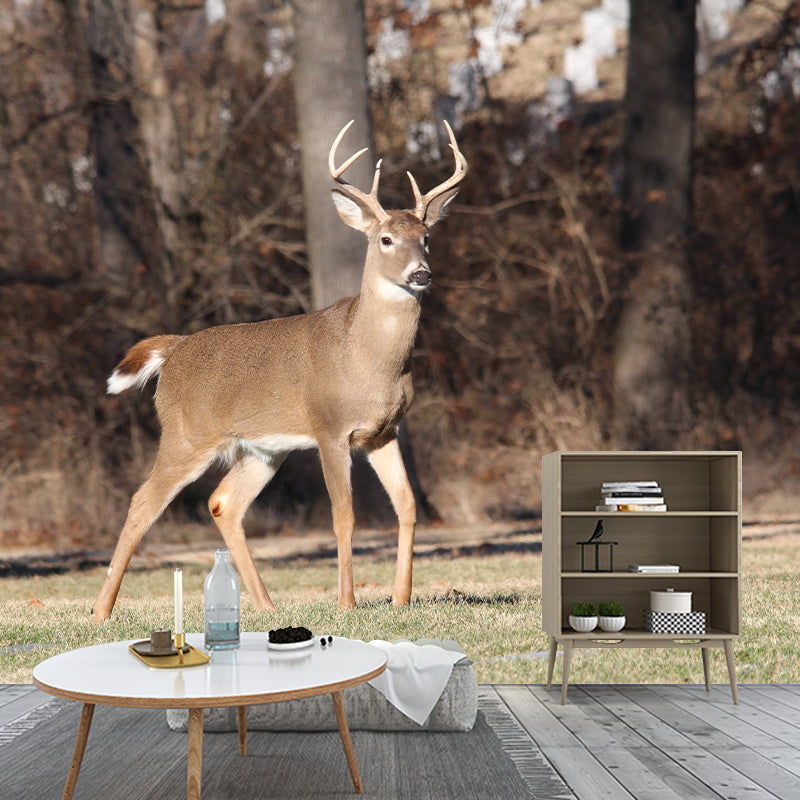 Deer Animal Mural Wallpaper Decorations for Sitting Room, Stain Resistant