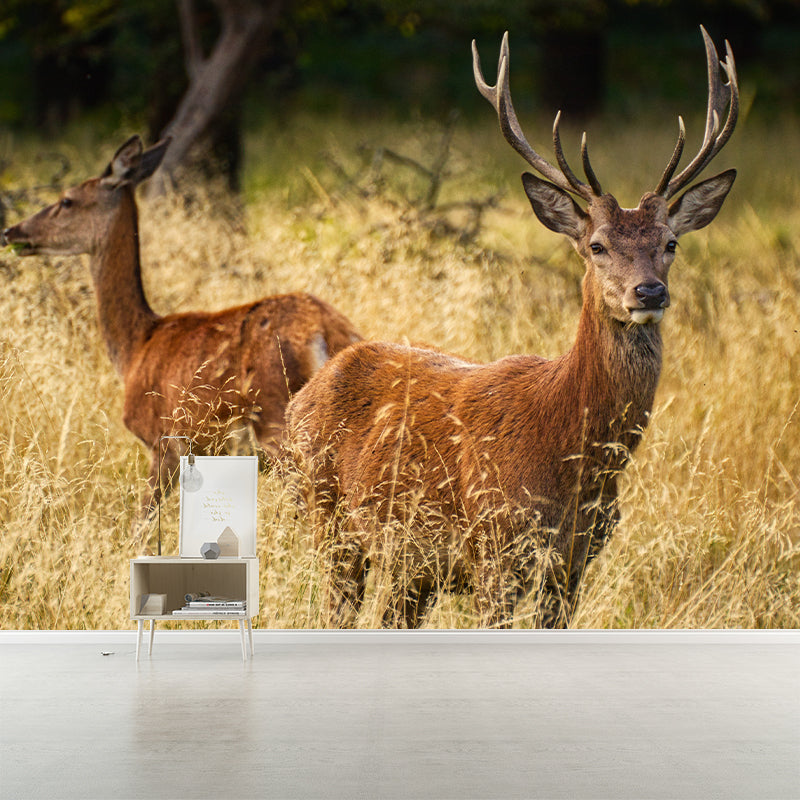 Deer Customized Modern Animal Mural Wallpaper Waterproofing, Personalized Size