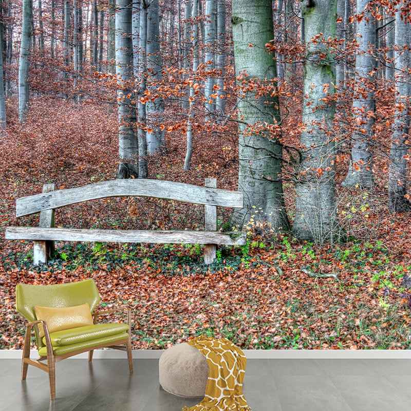 Autumn Forest Landscape Removable Wall Mural for Reading Room, Stain Resistant