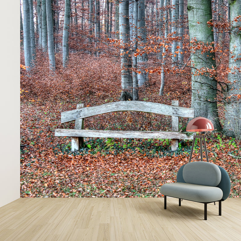 Autumn Forest Landscape Removable Wall Mural for Reading Room, Stain Resistant
