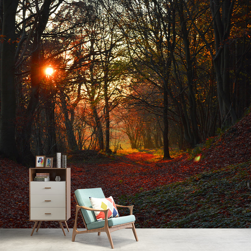 Autumn Forest Landscape Removable Wall Mural for Reading Room, Stain Resistant
