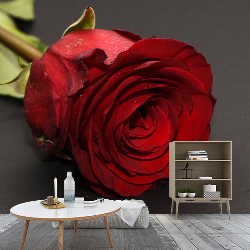 Rose Full Size Wall Covering for Home Decoration Water Resistant, Made to Measure