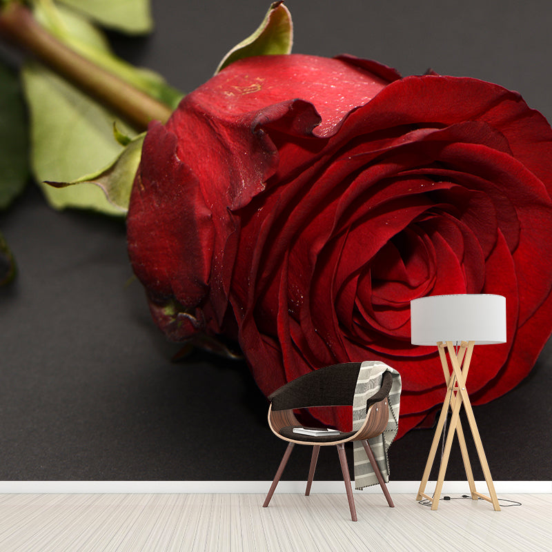 Rose Full Size Wall Covering for Home Decoration Water Resistant, Made to Measure