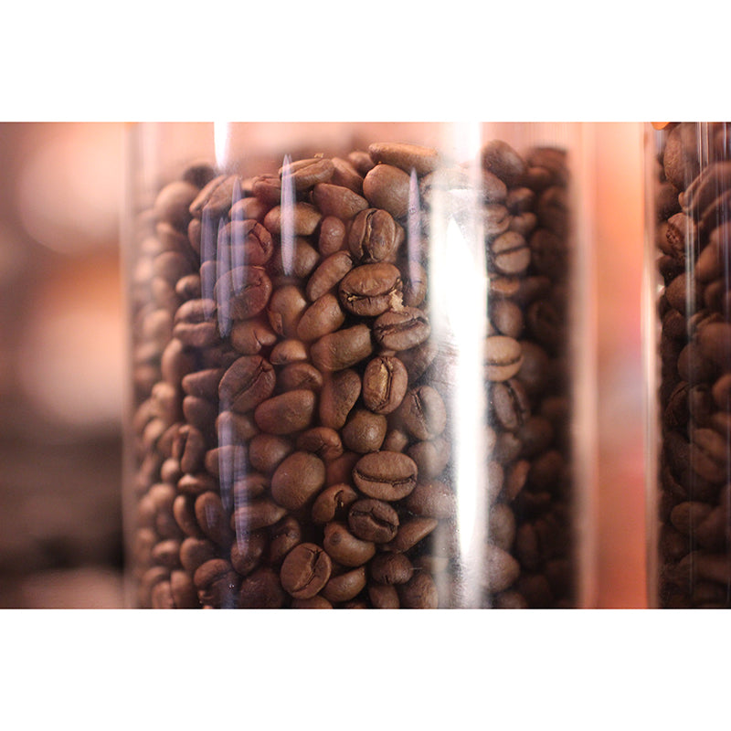 Coffee Beans Mural Contemporary Style Wall Decor for Coffee Shop, Water Resistant