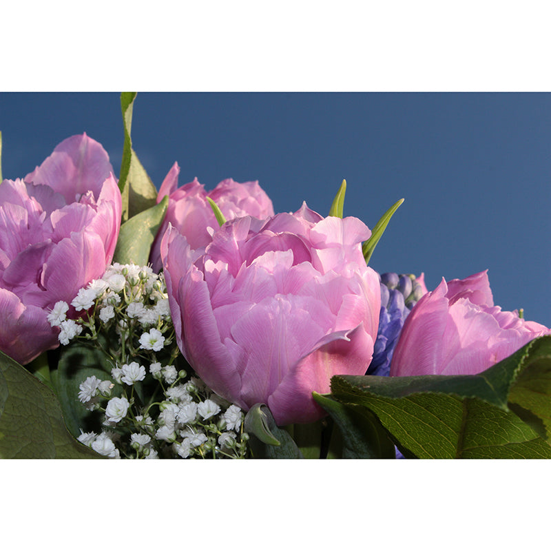 Gypsophila Flowers Wall Murals Stain Resistant Wall Decoration for Sleeping Room