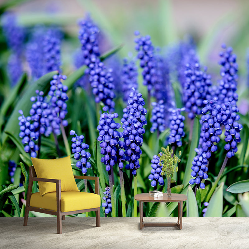 Hyacinth Modern Mural Decal Stain Resistant Wall Covering for Bedroom Bathroom