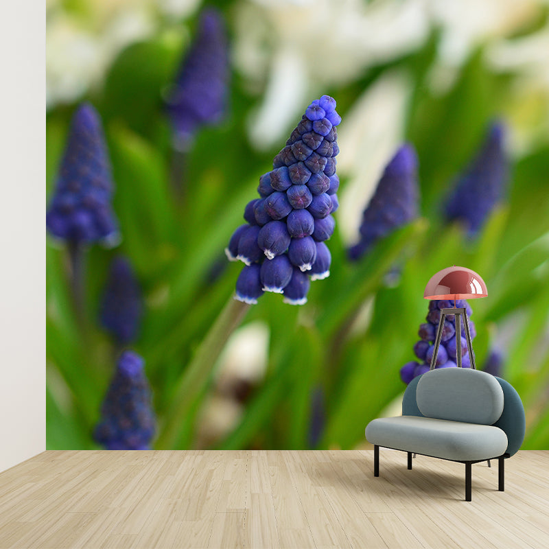 Hyacinth Modern Mural Decal Stain Resistant Wall Covering for Bedroom Bathroom